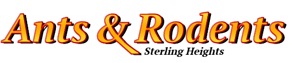 Sterling Heights Ant Exterminator & Rodent Control Company Logo